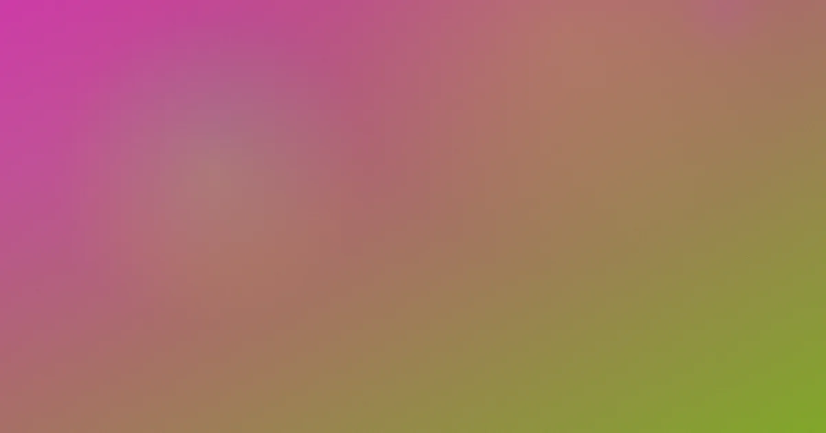二十四道拐推荐：新手入门